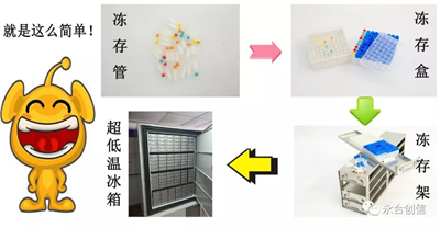 樣本凍存解決方案之凍存架、凍存盒、凍存管