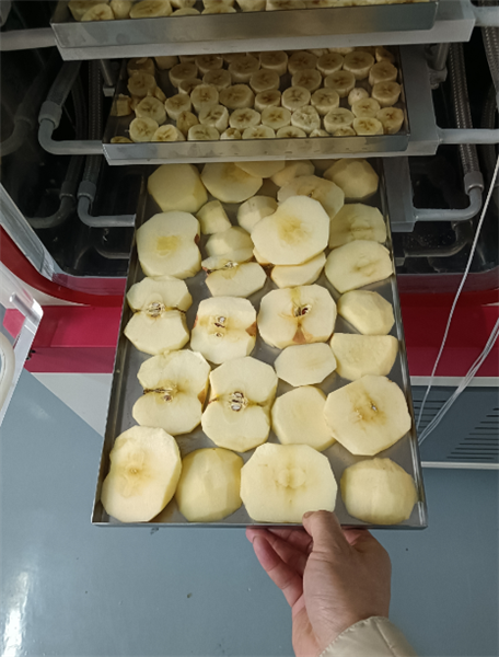 使用化妝品凍干機對面膜進行凍干具體有哪些步驟？
